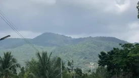 Land for sale in Ko Pha-ngan, Surat Thani