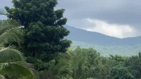 Land for sale in Ko Pha-ngan, Surat Thani