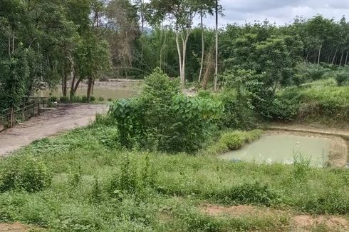 Land for sale in Thap Prik, Krabi