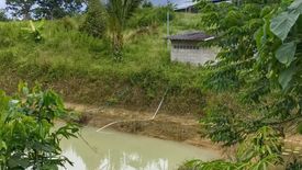 Land for sale in Thap Prik, Krabi