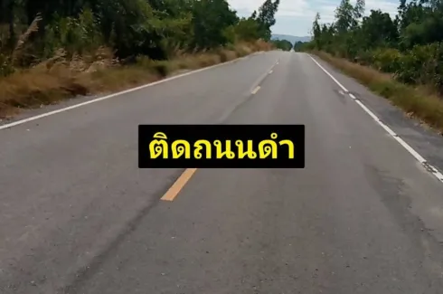 Land for sale in Phatthana Nikhom, Lopburi