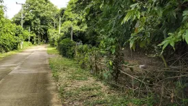 Land for sale in Tha Nao, Nan