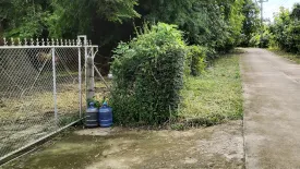 Land for sale in Tha Nao, Nan