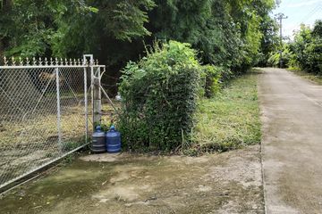Land for sale in Tha Nao, Nan