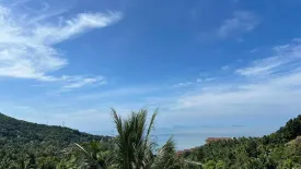 Land for sale in Ko Pha-ngan, Surat Thani