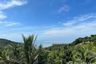 Land for sale in Ko Pha-ngan, Surat Thani
