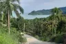 Land for sale in Ban Tai, Surat Thani