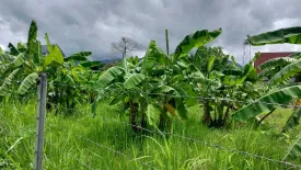 Land for sale in Don Kaeo, Chiang Mai