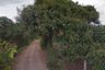 Land for sale in Nam Phrae, Chiang Mai