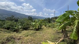 Land for sale in Bo Phut, Surat Thani