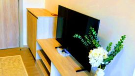 1 Bedroom Condo for rent in dcondo reef, Kathu, Phuket