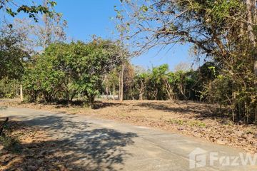 Land for sale in Buak Khang, Chiang Mai