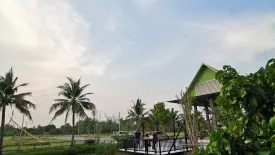 Land for sale in Rim Ping, Lamphun