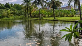 Land for sale in Rim Ping, Lamphun