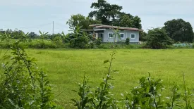 Land for sale in Nong Kaeo, Sisaket