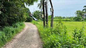 Land for sale in Nong Kaeo, Sisaket