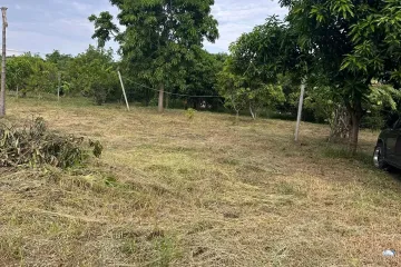 Land for sale in Lam Pho, Nonthaburi