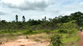 Land for sale in Kut Chom Phu, Ubon Ratchathani