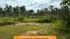 Land for sale in Kut Chom Phu, Ubon Ratchathani