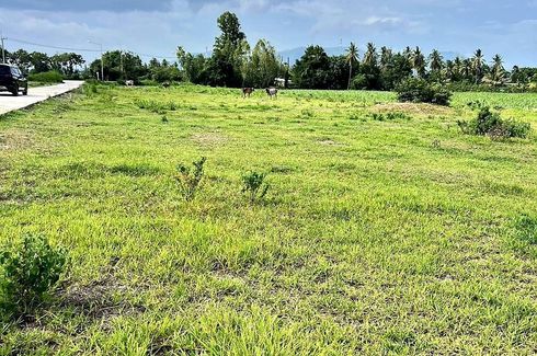 Land for sale in Huai Sai Nua, Phetchaburi