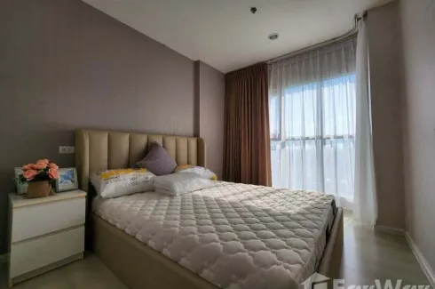 1 Bedroom Condo for sale in Aspire Sukhumvit 48, Phra Khanong, Bangkok near BTS Phra Khanong