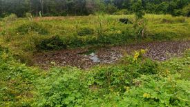 Land for sale in Thep Krasatti, Phuket
