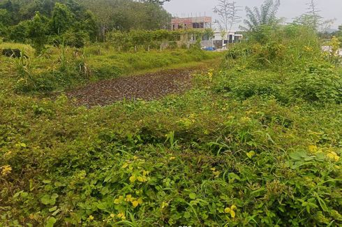 Land for sale in Thep Krasatti, Phuket