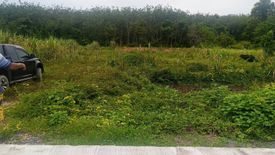 Land for sale in Thep Krasatti, Phuket