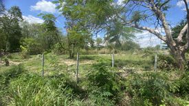 Land for sale in Nong Khwai, Chiang Mai