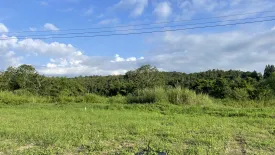 Land for sale in Huai Sai, Chiang Mai