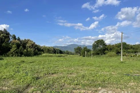 Land for sale in Huai Sai, Chiang Mai