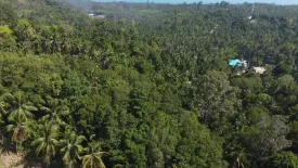 Land for sale in Ban Tai, Surat Thani