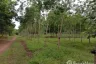 Land for sale in Na Ngua, Nakhon Phanom