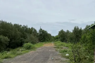 Land for sale in Khao Yoi, Phetchaburi