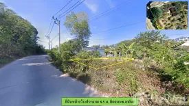 Land for sale in Choeng Thale, Phuket