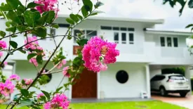5 Bedroom House for sale in Pa Daet, Chiang Mai
