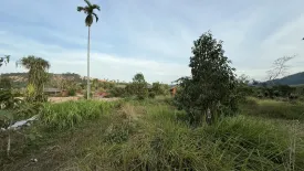 Land for sale in Si Sunthon, Phuket