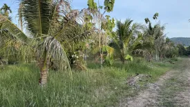Land for sale in Si Sunthon, Phuket