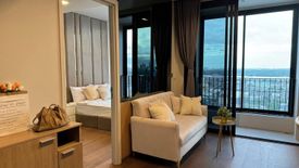 1 Bedroom Condo for rent in Ideo Q Sukhumvit 36, Khlong Tan, Bangkok near BTS Thong Lo