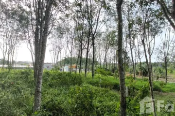 Land for sale in Sakhu, Phuket