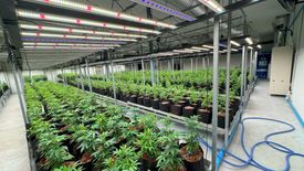 Commercial for rent in Lak Hok, Pathum Thani