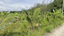 Land for sale in Choeng Thale, Phuket
