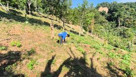 Land for sale in Sakhu, Phuket