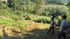 Land for sale in Sakhu, Phuket