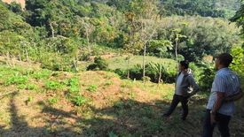 Land for sale in Sakhu, Phuket