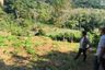 Land for sale in Sakhu, Phuket