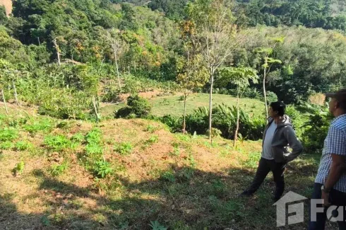 Land for sale in Sakhu, Phuket