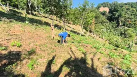 Land for sale in Sakhu, Phuket