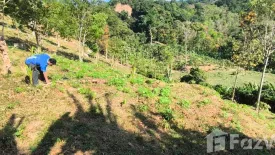 Land for sale in Sakhu, Phuket