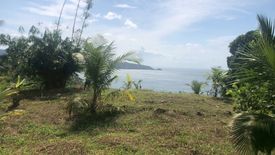 Land for sale in Patong, Phuket
